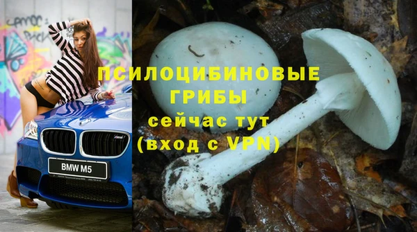 кокс Аркадак